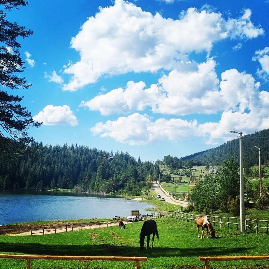 Apartmani Jezero Žabljak 客房 照片